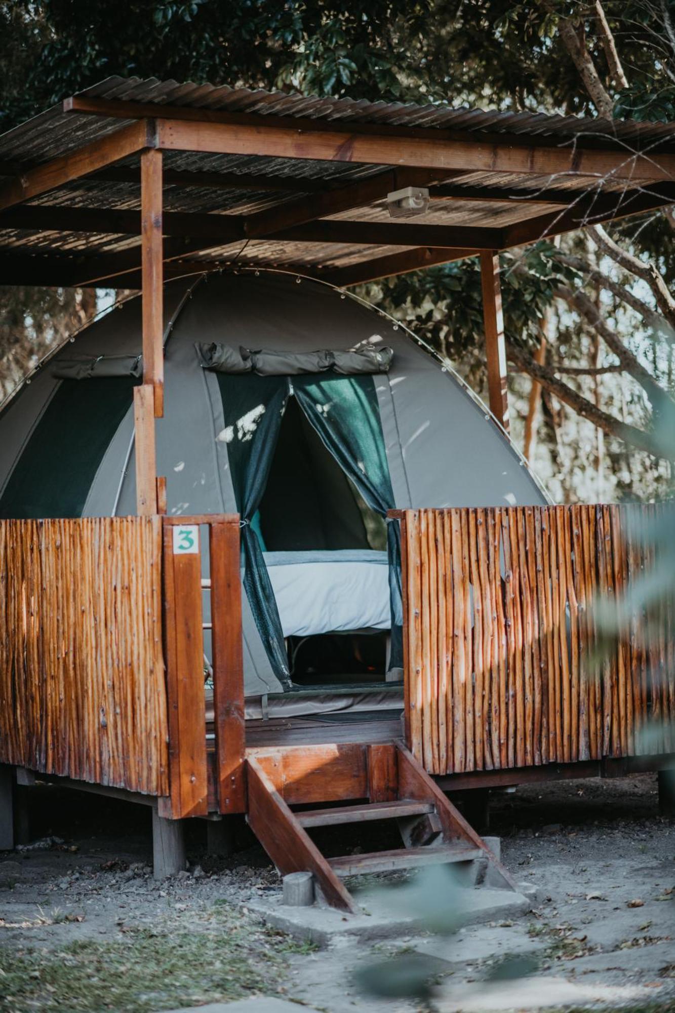 Storms River Forest Lodge Stormsrivier Εξωτερικό φωτογραφία
