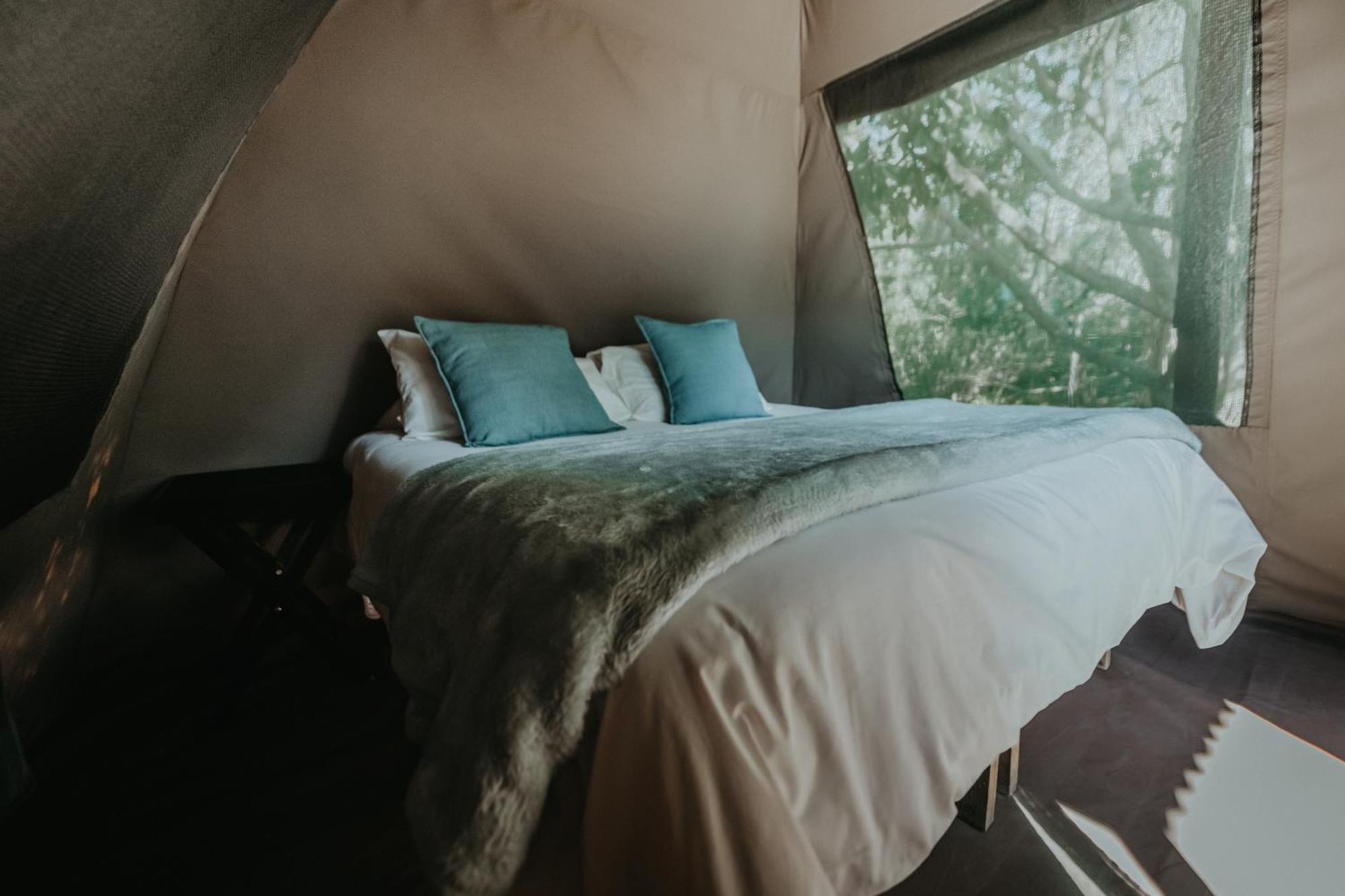 Storms River Forest Lodge Stormsrivier Εξωτερικό φωτογραφία