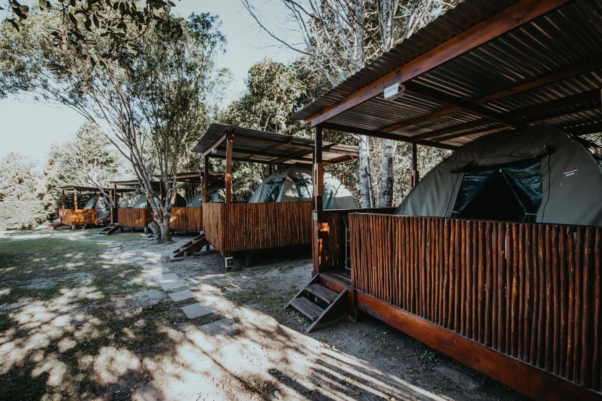 Storms River Forest Lodge Stormsrivier Εξωτερικό φωτογραφία