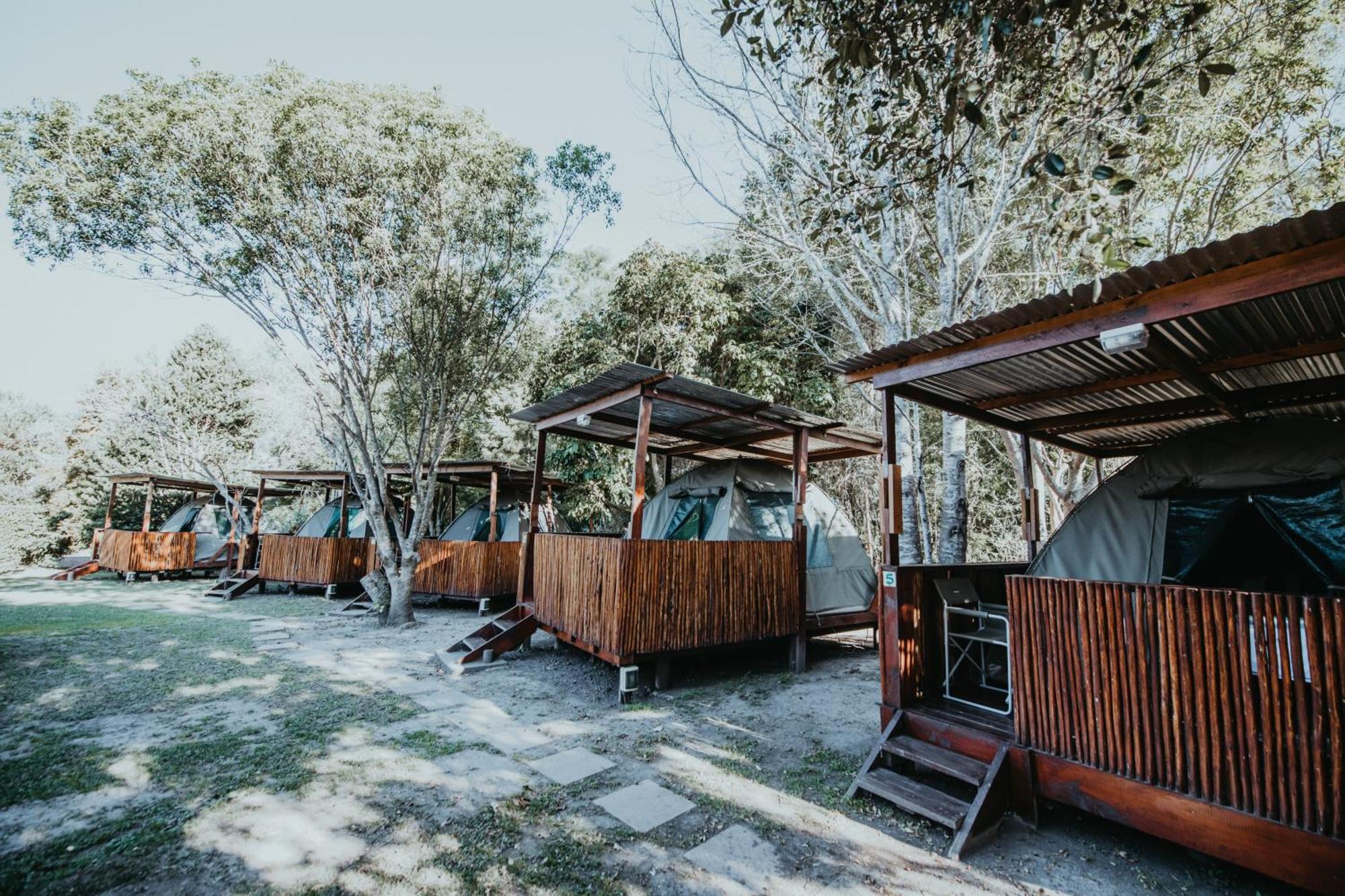 Storms River Forest Lodge Stormsrivier Εξωτερικό φωτογραφία