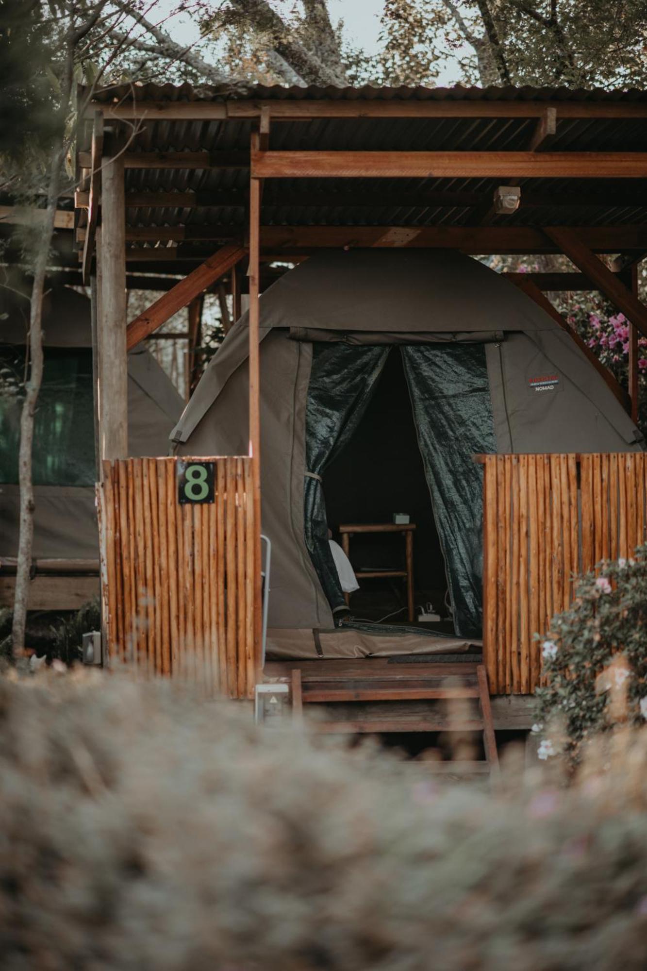 Storms River Forest Lodge Stormsrivier Εξωτερικό φωτογραφία