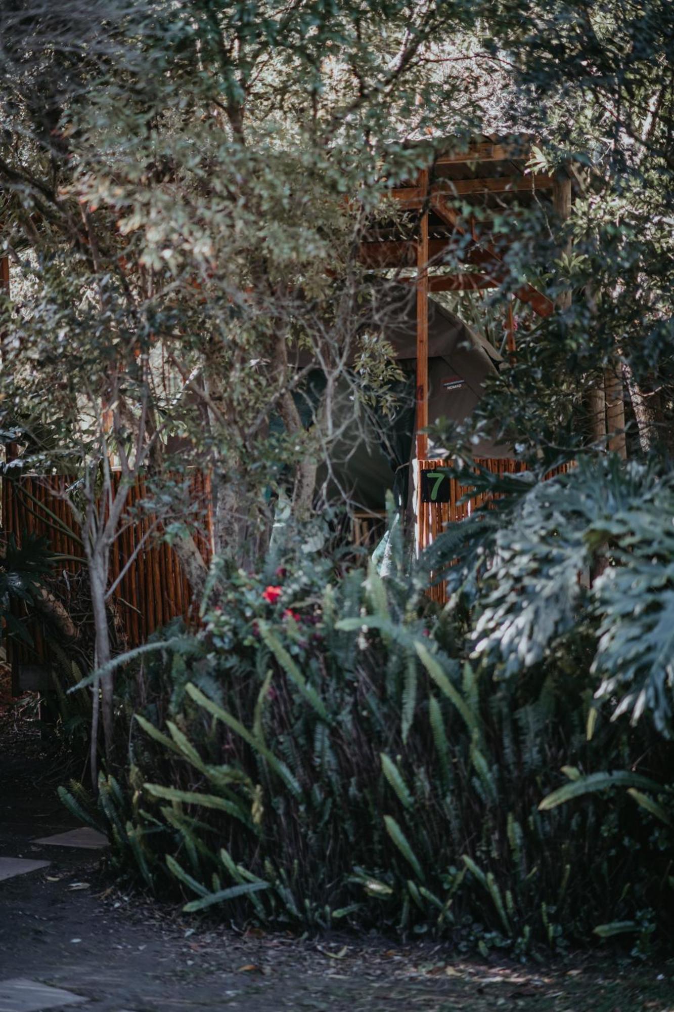Storms River Forest Lodge Stormsrivier Εξωτερικό φωτογραφία