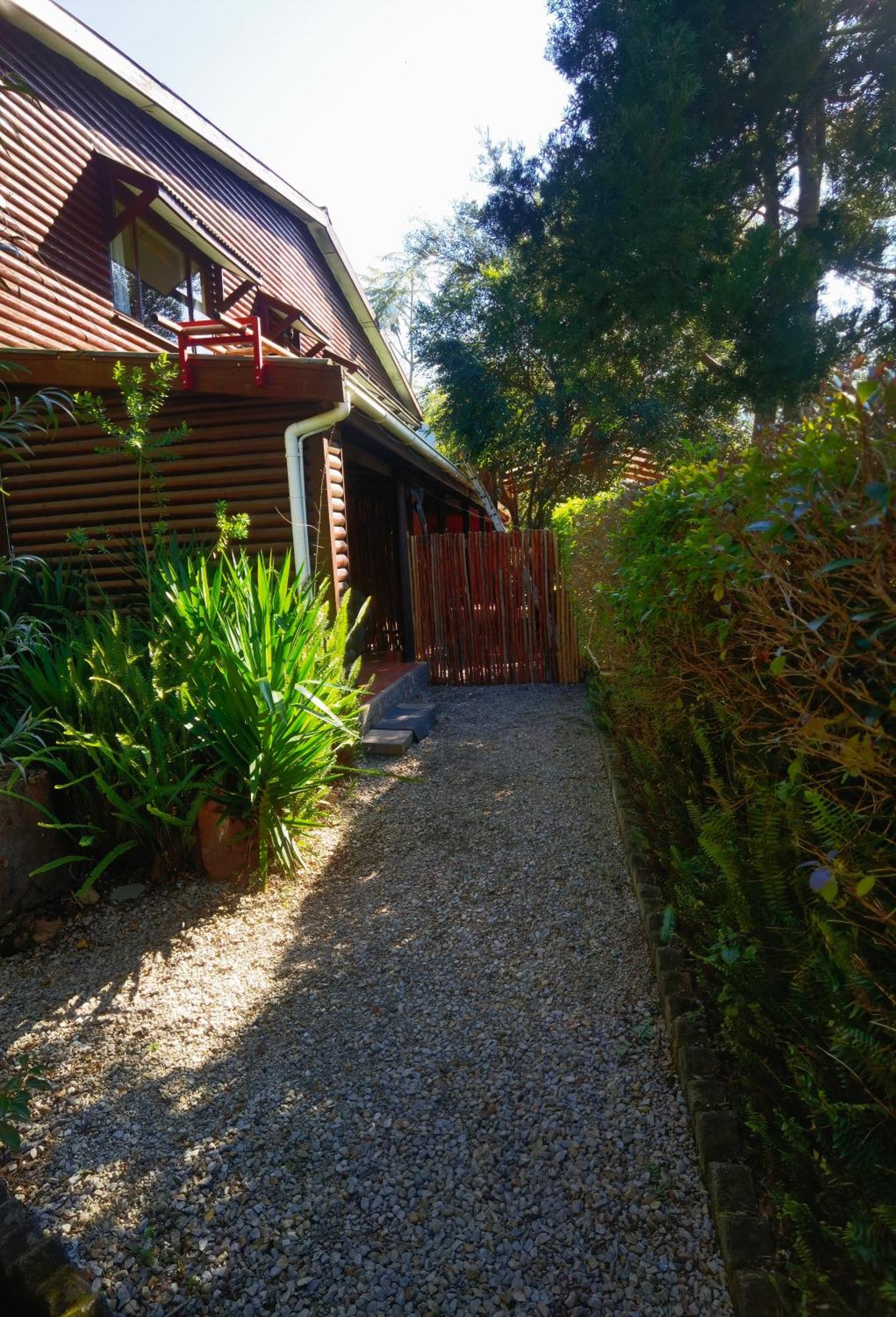 Storms River Forest Lodge Stormsrivier Εξωτερικό φωτογραφία